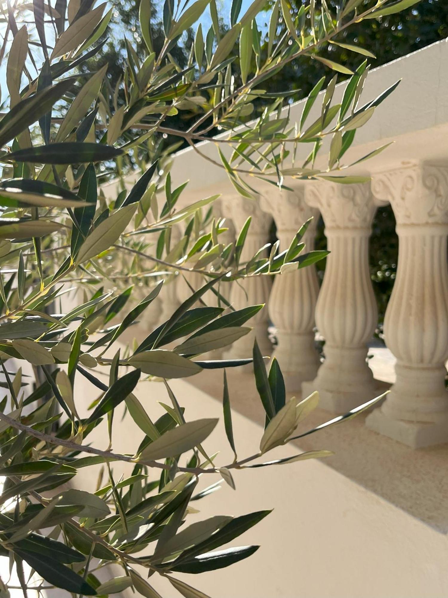 Maison D'Hotes Dar Driss Matmata Exterior photo